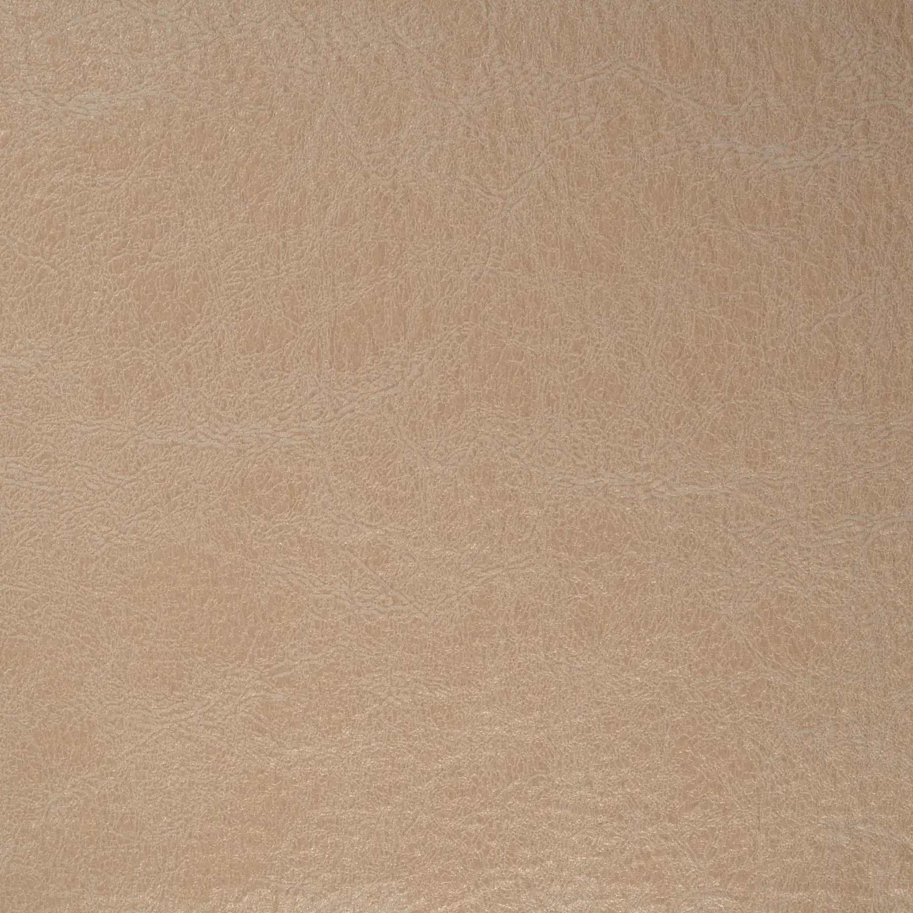 Magnolia Beige