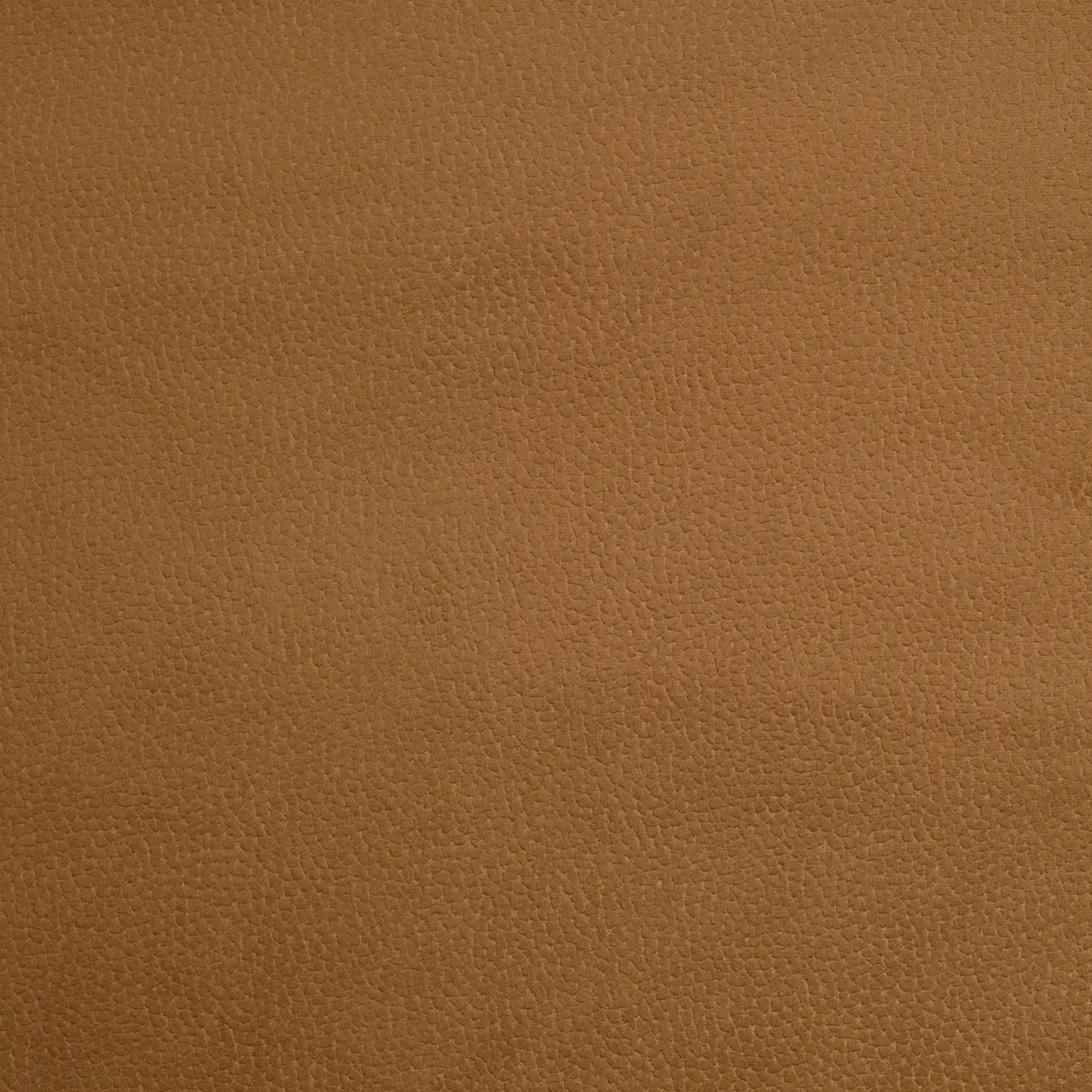 Venus 14