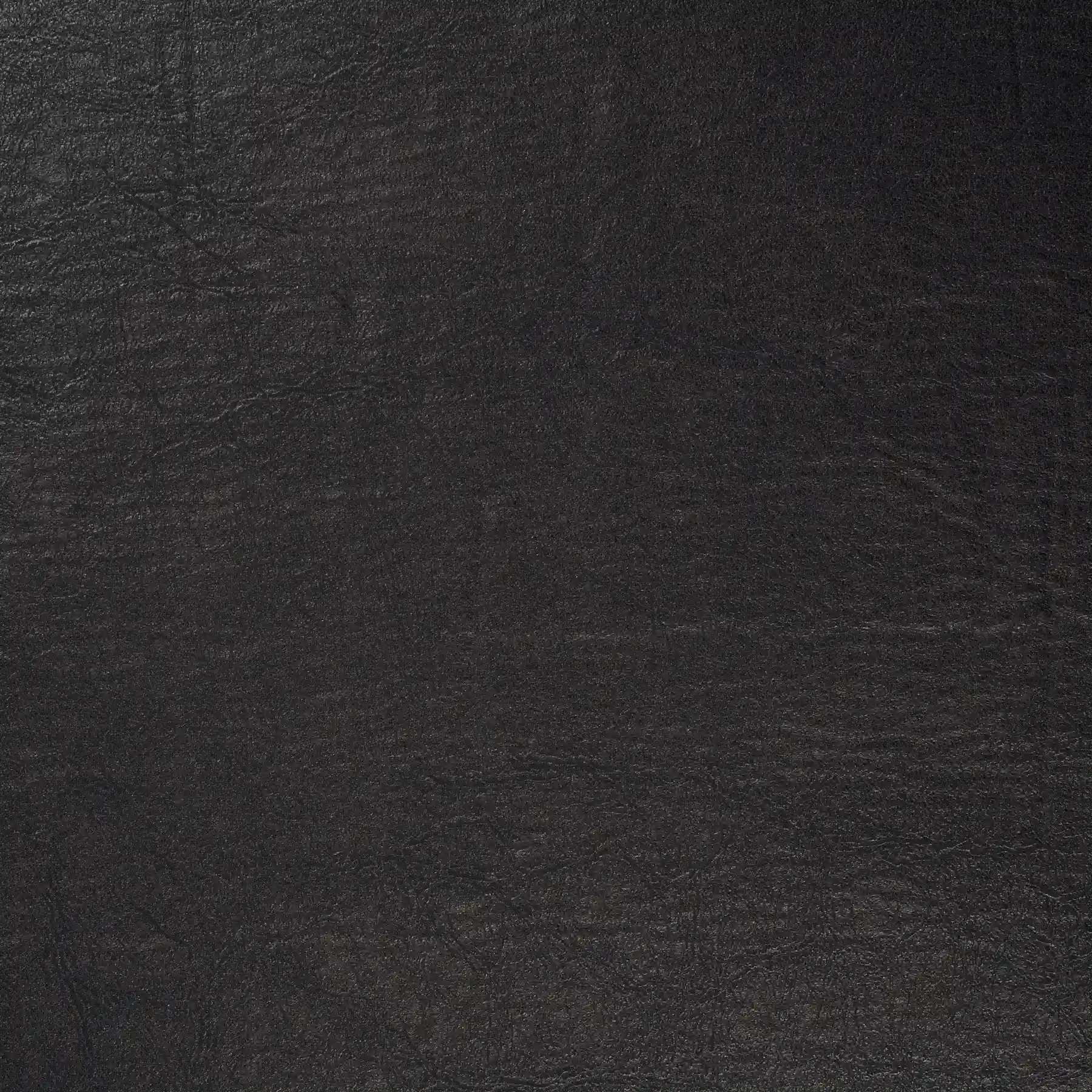 Magnolia Negro