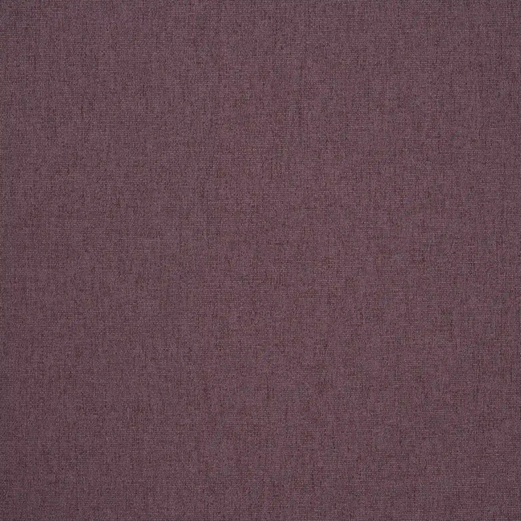 Kentya Purple