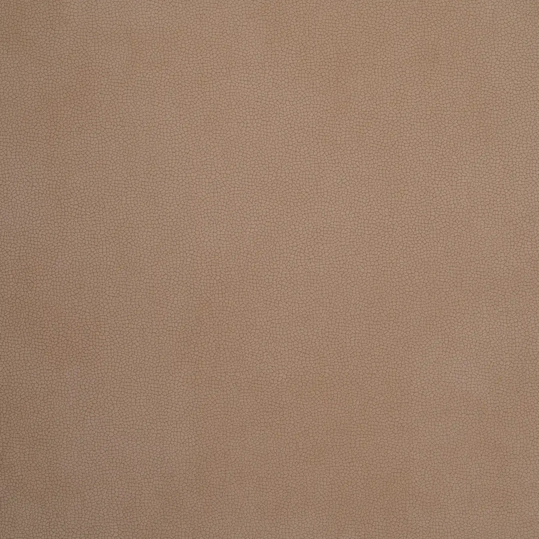 Monaco 16