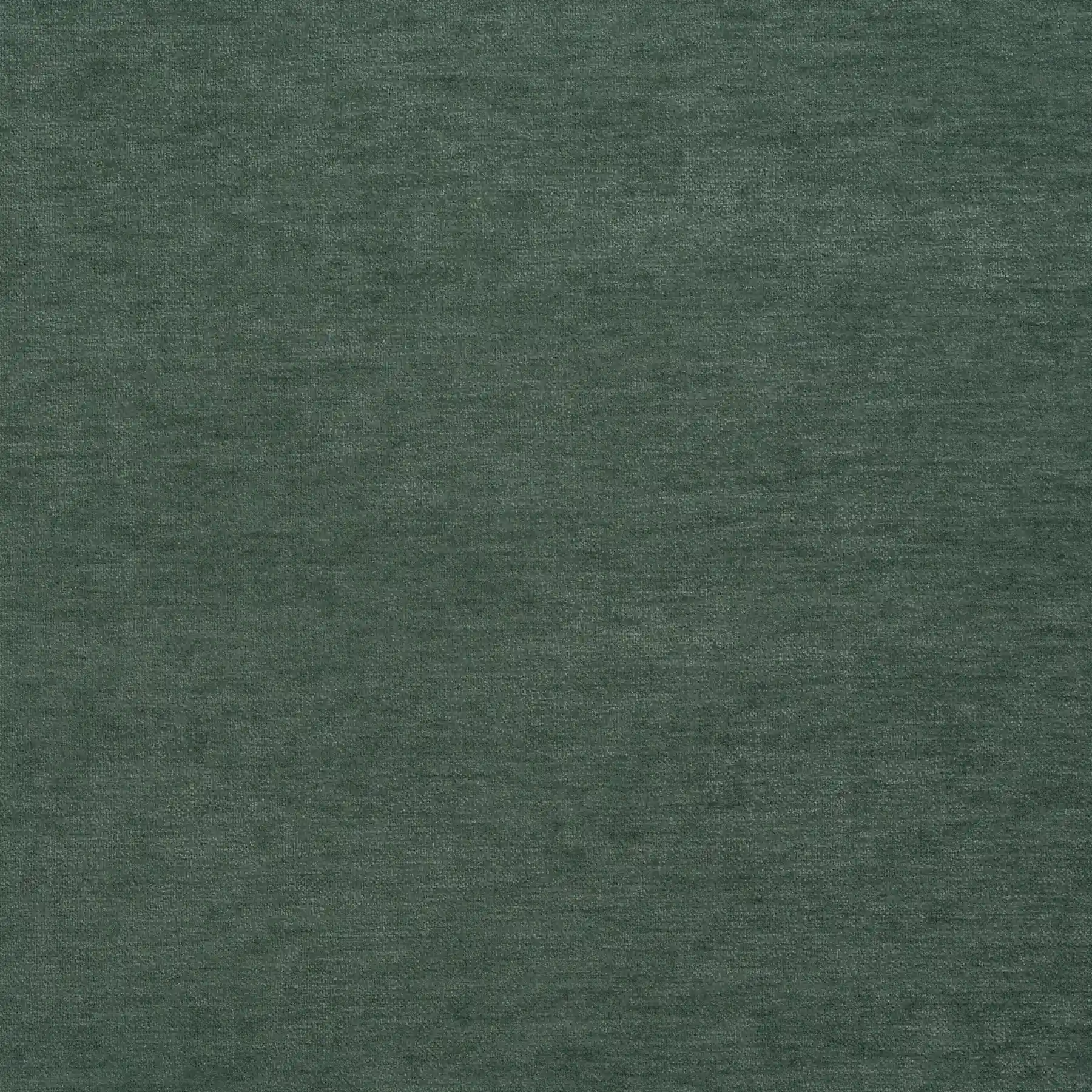 Nivolet 08