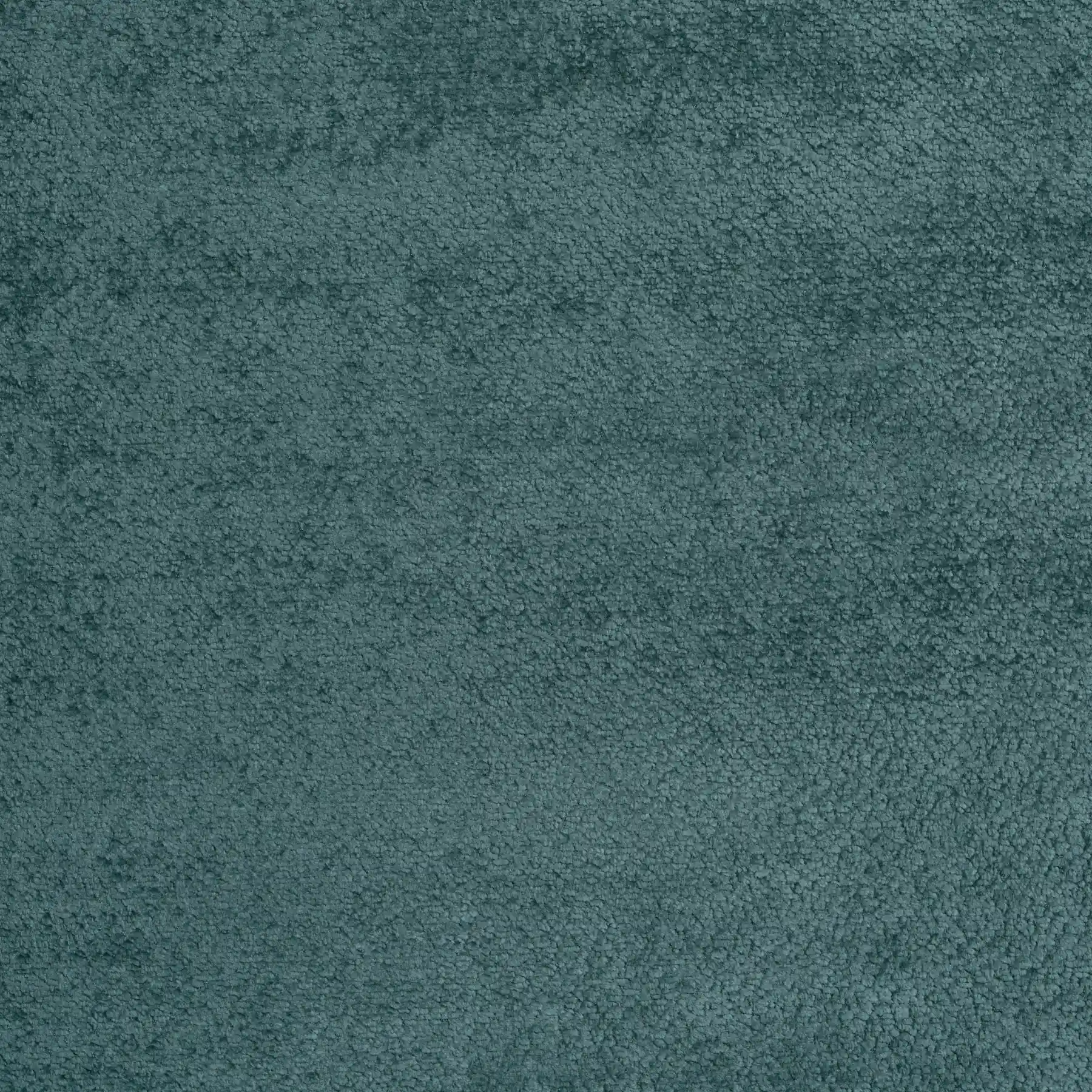 Aurora 14